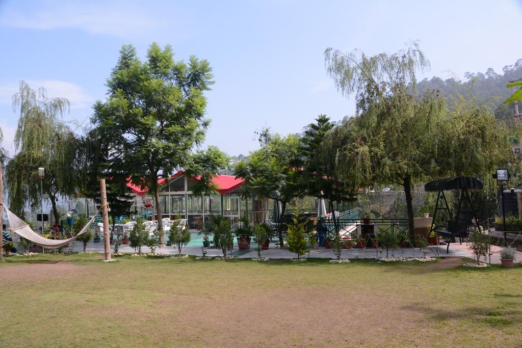 Maple Resort Chail Exterior foto