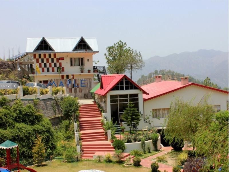 Maple Resort Chail Exterior foto