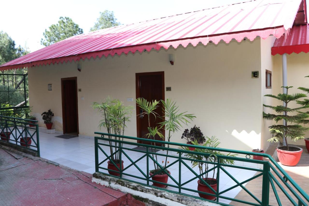 Maple Resort Chail Exterior foto