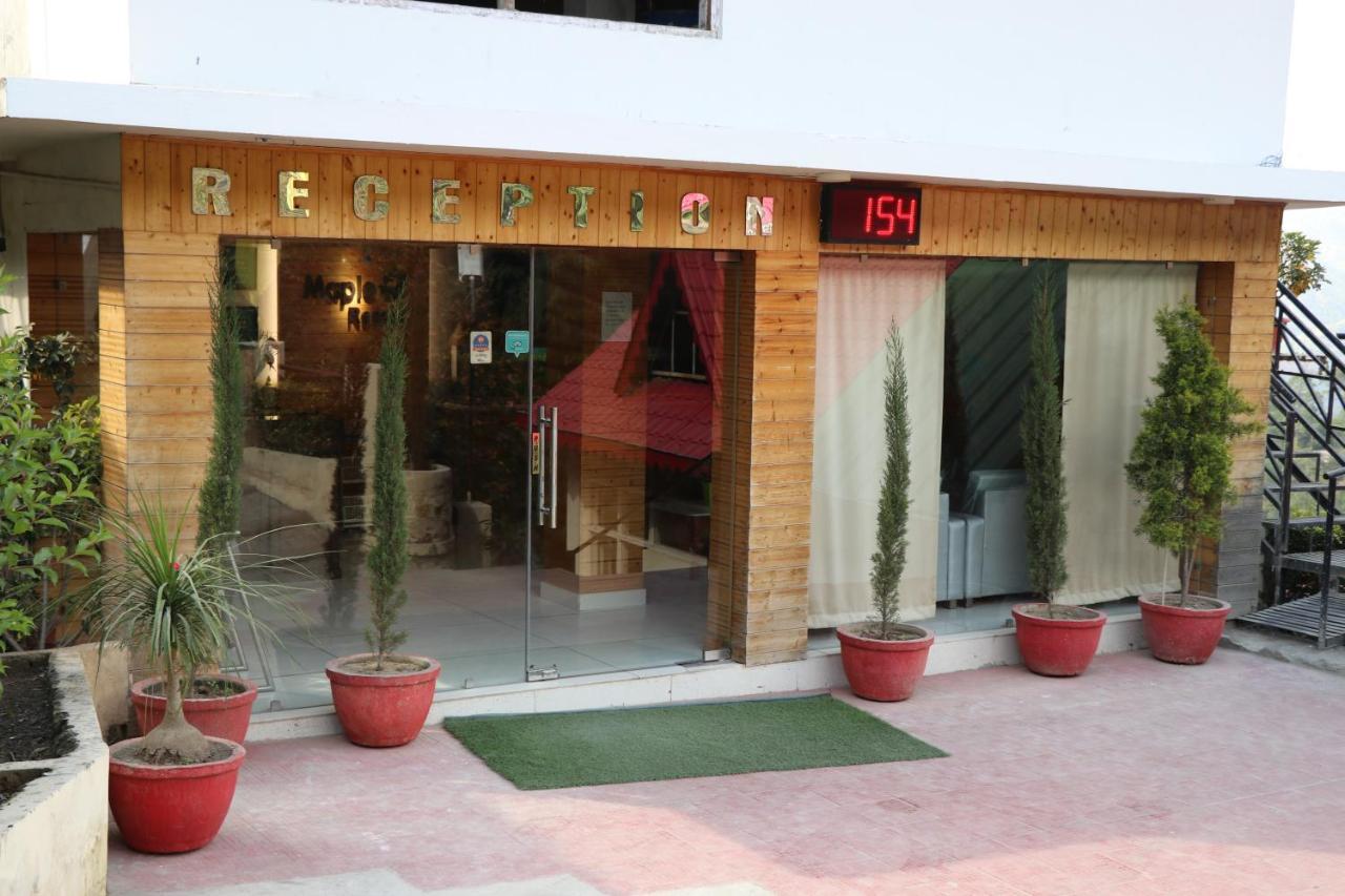 Maple Resort Chail Exterior foto