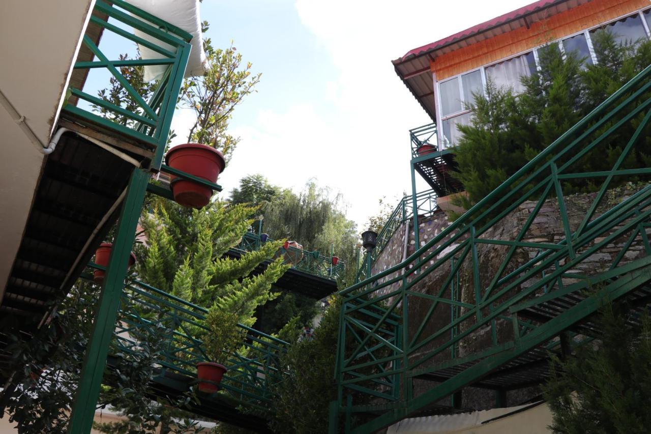 Maple Resort Chail Exterior foto